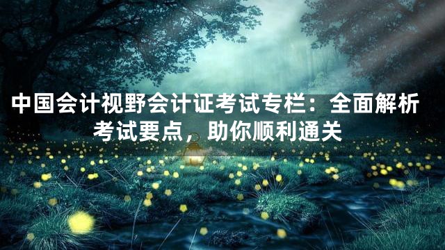 中国会计视野会计证考试专栏：全面解析考试要点，助你顺利通关