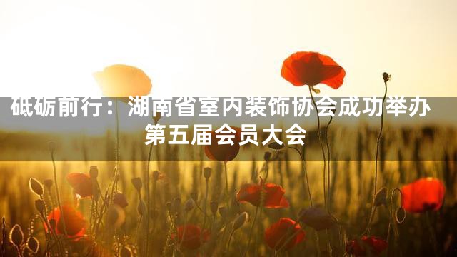 砥砺前行：湖南省室内装饰协会成功举办第五届会员大会