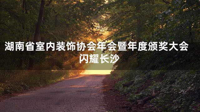 湖南省室内装饰协会年会暨年度颁奖大会闪耀长沙