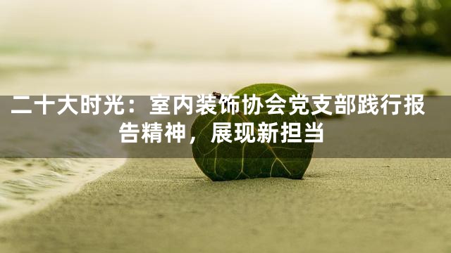 二十大时光：室内装饰协会党支部践行报告精神，展现新担当