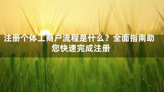 注册个体工商户流程是什么？全面指南助您快速完成注册