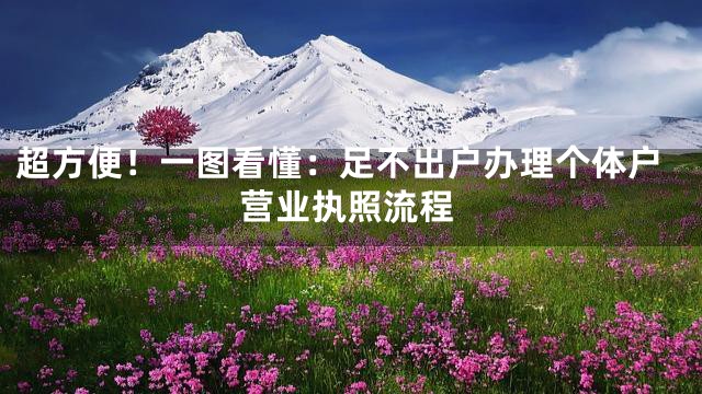 超方便！一图看懂：足不出户办理个体户营业执照流程