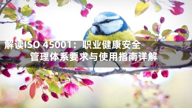 解读ISO 45001：职业健康安全管理体系要求与使用指南详解