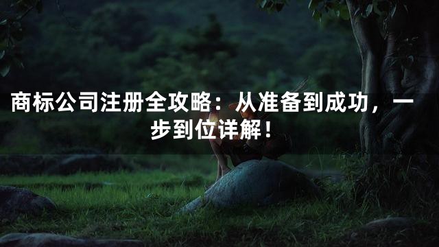 商标公司注册全攻略：从准备到成功，一步到位详解！