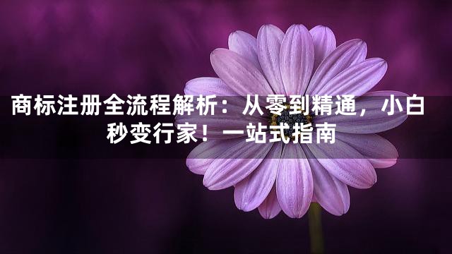 商标注册全流程解析：从零到精通，小白秒变行家！一站式指南