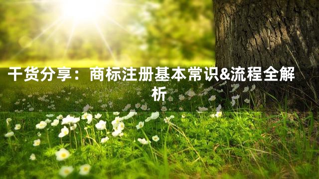 干货分享：商标注册基本常识&流程全解析