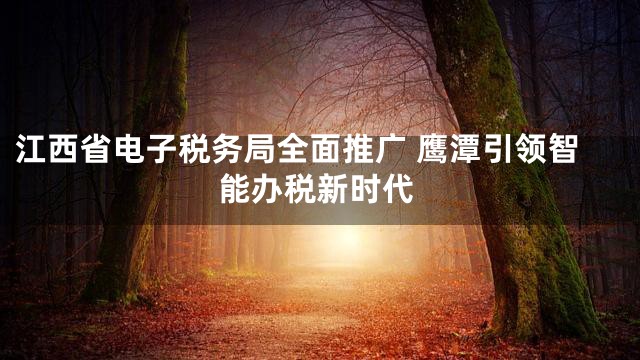 江西省电子税务局全面推广 鹰潭引领智能办税新时代