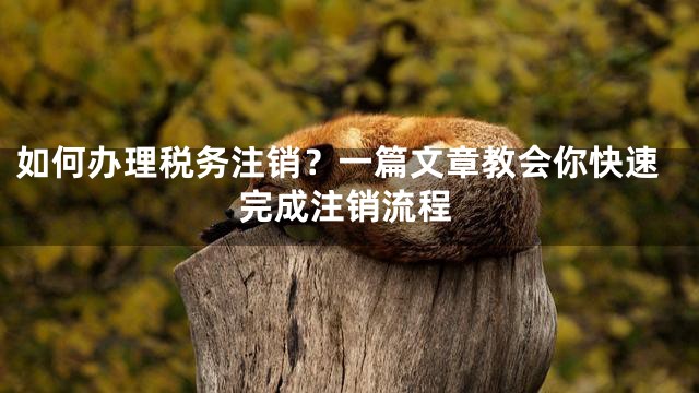 如何办理税务注销？一篇文章教会你快速完成注销流程