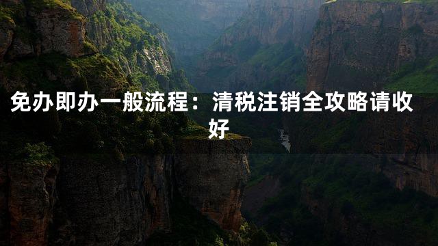 免办即办一般流程：清税注销全攻略请收好