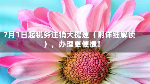 7月1日起税务注销大提速（附详细解读），办理更便捷！