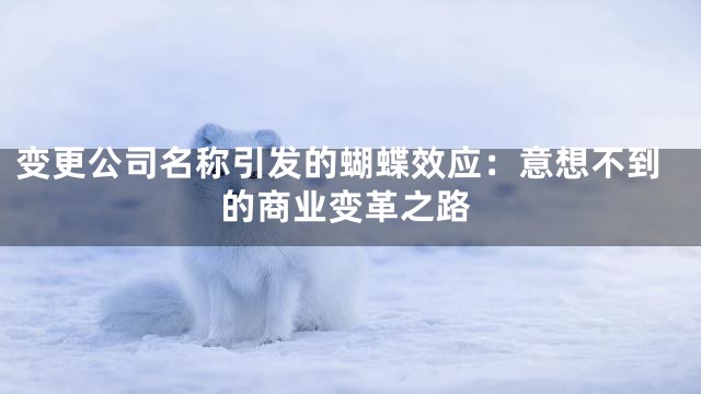 变更公司名称引发的蝴蝶效应：意想不到的商业变革之路