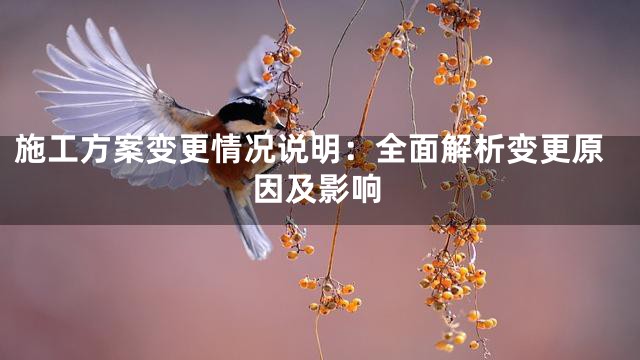 施工方案变更情况说明：全面解析变更原因及影响