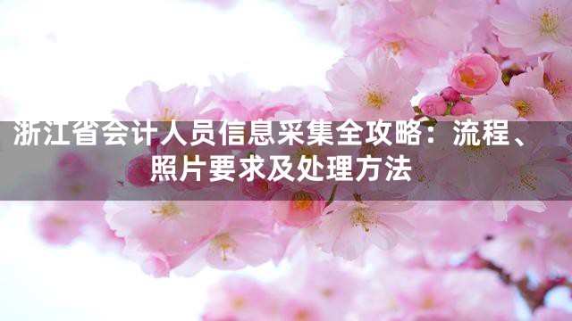 浙江省会计人员信息采集全攻略：流程、照片要求及处理方法