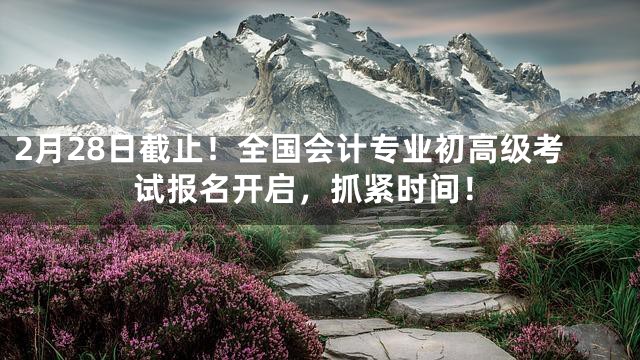 2月28日截止！全国会计专业初高级考试报名开启，抓紧时间！