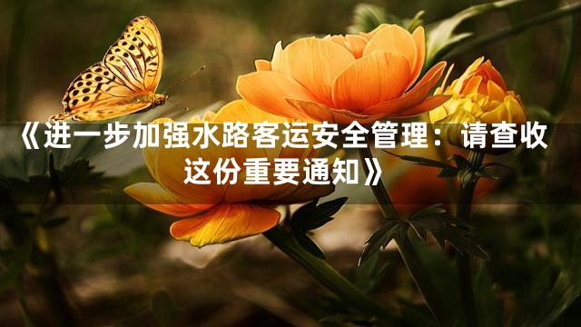 《进一步加强水路客运安全管理：请查收这份重要通知》