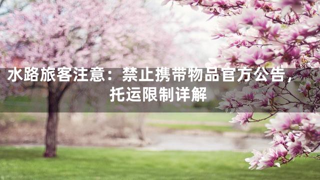 水路旅客注意：禁止携带物品官方公告，托运限制详解