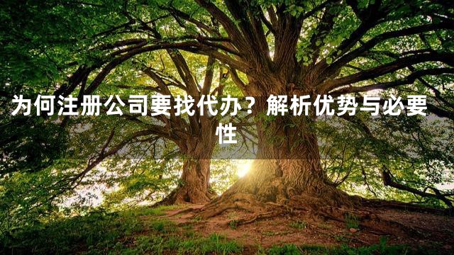 为何注册公司要找代办？解析优势与必要性