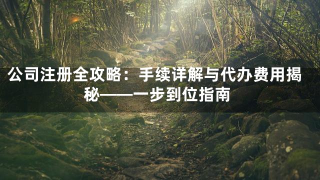 公司注册全攻略：手续详解与代办费用揭秘——一步到位指南