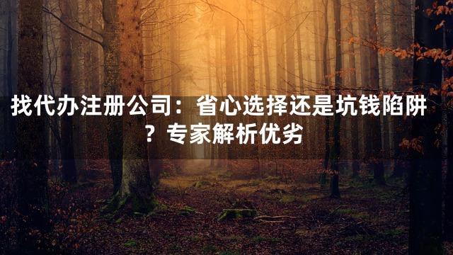 找代办注册公司：省心选择还是坑钱陷阱？专家解析优劣