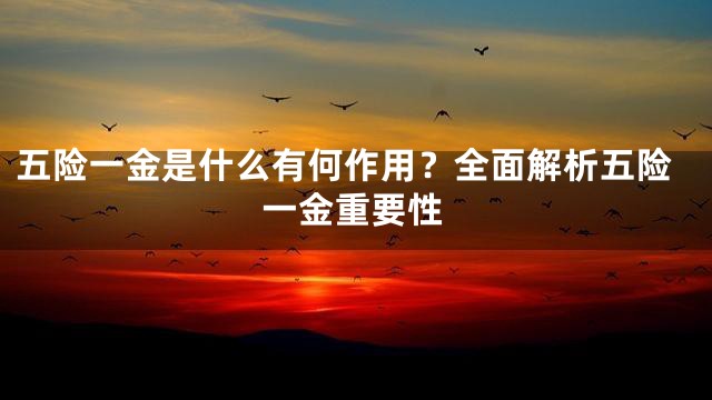 五险一金是什么有何作用？全面解析五险一金重要性
