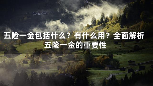 五险一金包括什么？有什么用？全面解析五险一金的重要性