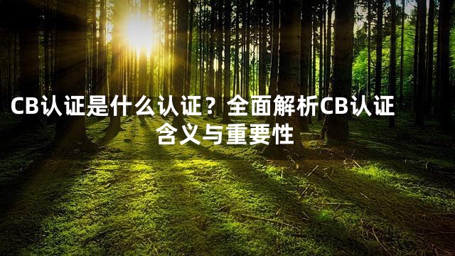 CB认证是什么认证？全面解析CB认证含义与重要性