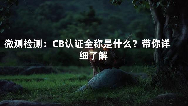微测检测：CB认证全称是什么？带你详细了解