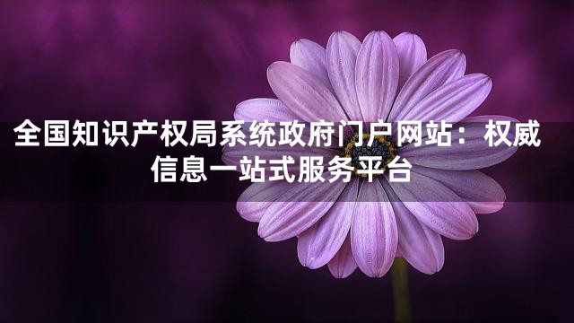 全国知识产权局系统政府门户网站：权威信息一站式服务平台