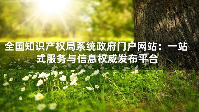 全国知识产权局系统政府门户网站：一站式服务与信息权威发布平台