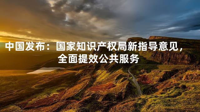 中国发布：国家知识产权局新指导意见，全面提效公共服务
