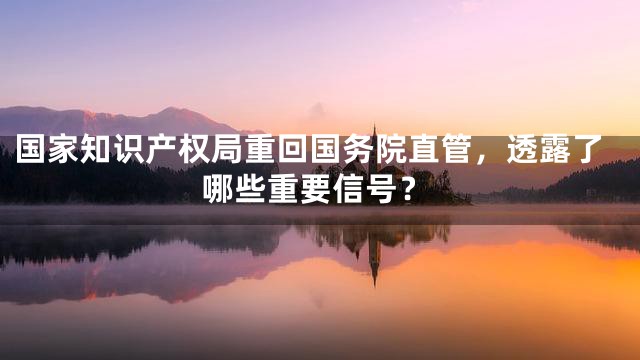 国家知识产权局重回国务院直管，透露了哪些重要信号？
