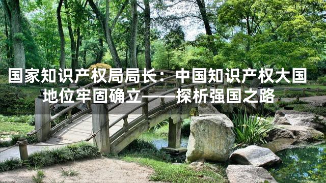 国家知识产权局局长：中国知识产权大国地位牢固确立——探析强国之路