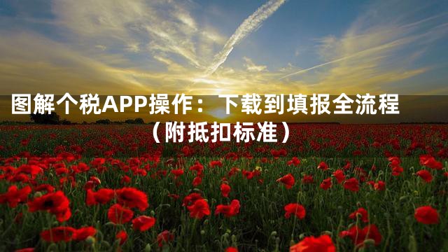 图解个税APP操作：下载到填报全流程（附抵扣标准）