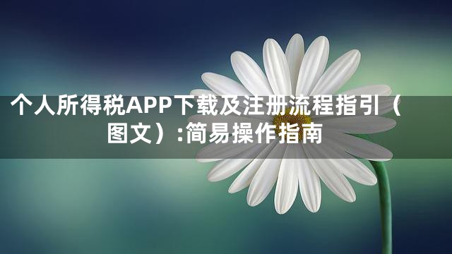 个人所得税APP下载及注册流程指引（图文）:简易操作指南