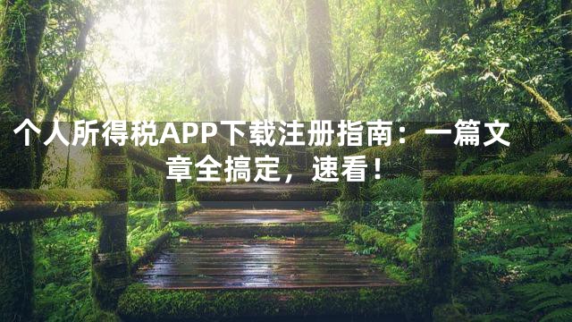 个人所得税APP下载注册指南：一篇文章全搞定，速看！