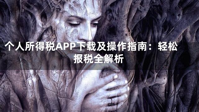 个人所得税APP下载及操作指南：轻松报税全解析