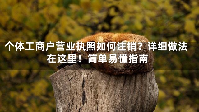 个体工商户营业执照如何注销？详细做法在这里！简单易懂指南