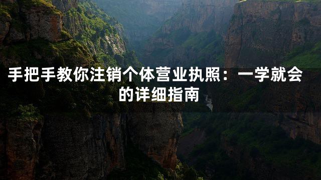 手把手教你注销个体营业执照：一学就会的详细指南