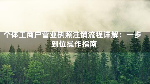 个体工商户营业执照注销流程详解：一步到位操作指南