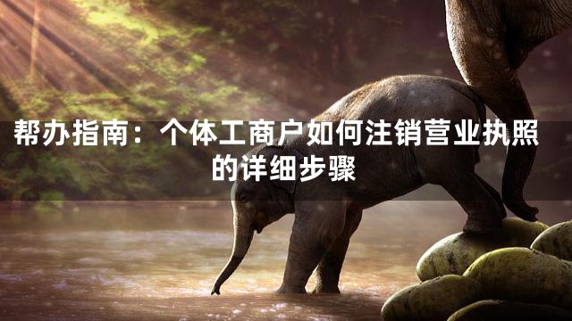 帮办指南：个体工商户如何注销营业执照的详细步骤