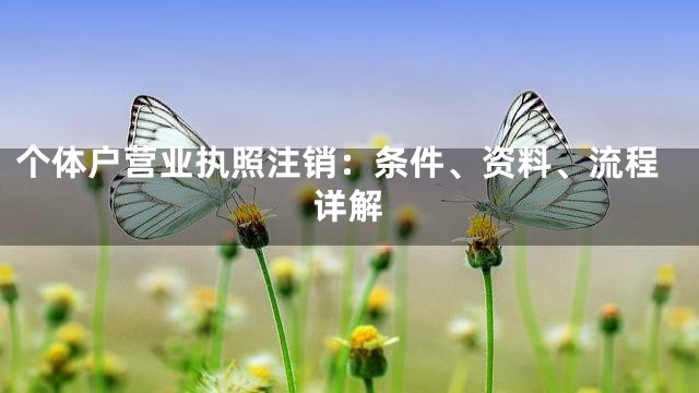 个体户营业执照注销：条件、资料、流程详解