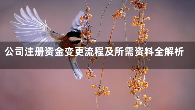 公司注册资金变更流程及所需资料全解析