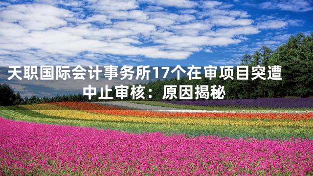 天职国际会计事务所17个在审项目突遭中止审核：原因揭秘