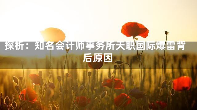 探析：知名会计师事务所天职国际爆雷背后原因