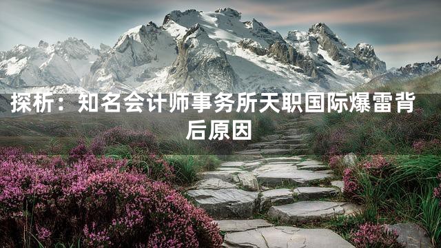 探析：知名会计师事务所天职国际爆雷背后原因