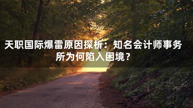 天职国际爆雷原因探析：知名会计师事务所为何陷入困境？