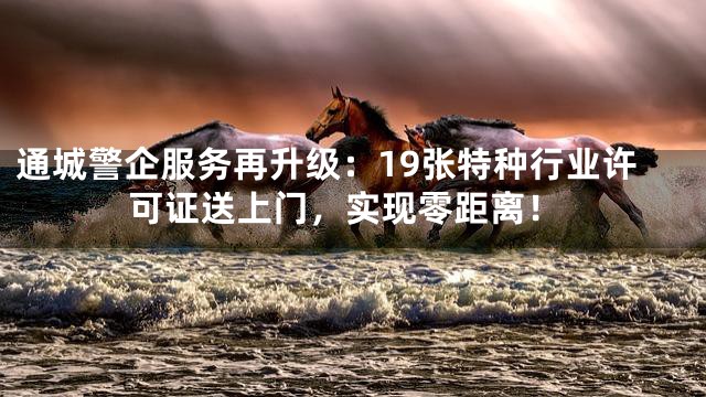 通城警企服务再升级：19张特种行业许可证送上门，实现零距离！