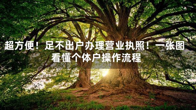 超方便！足不出户办理营业执照！一张图看懂个体户操作流程