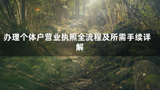 办理个体户营业执照全流程及所需手续详解