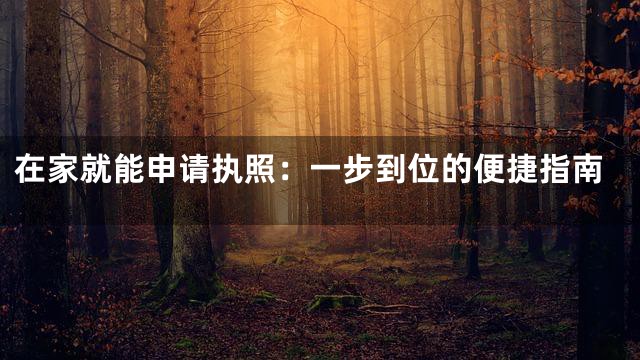 在家就能申请执照：一步到位的便捷指南